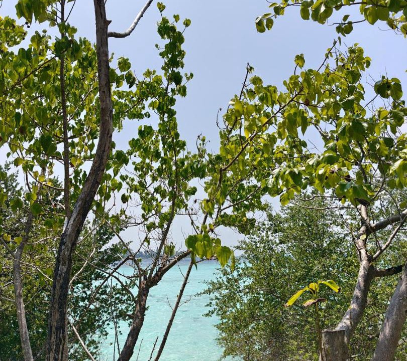 Photo of Others in Mahibadhoo