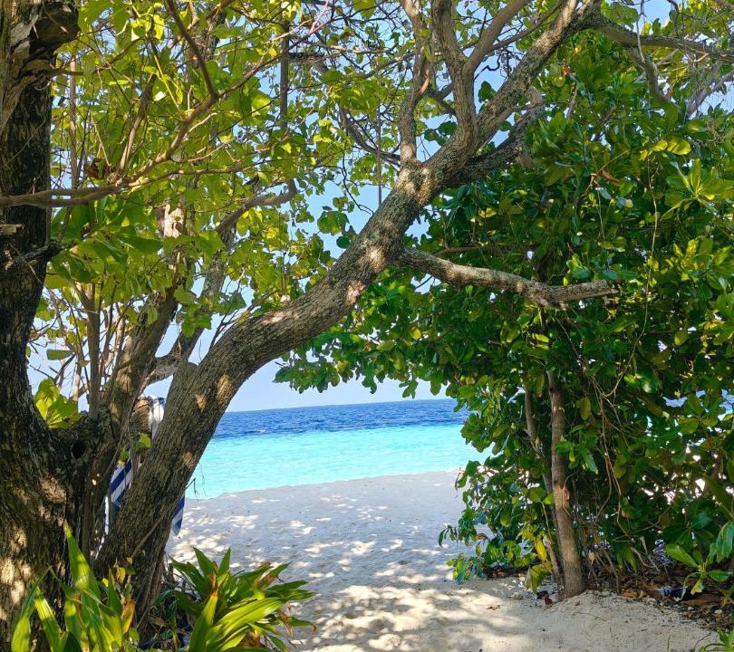 Photo of Others in Mahibadhoo