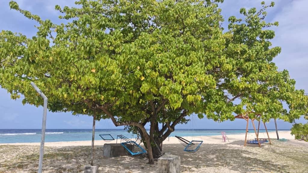Photo of Others in Mahibadhoo