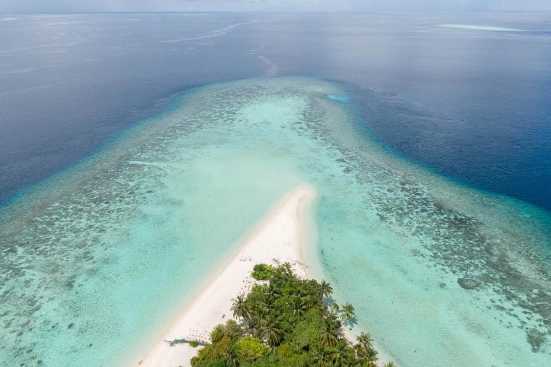 Photo of Others in Omadhoo