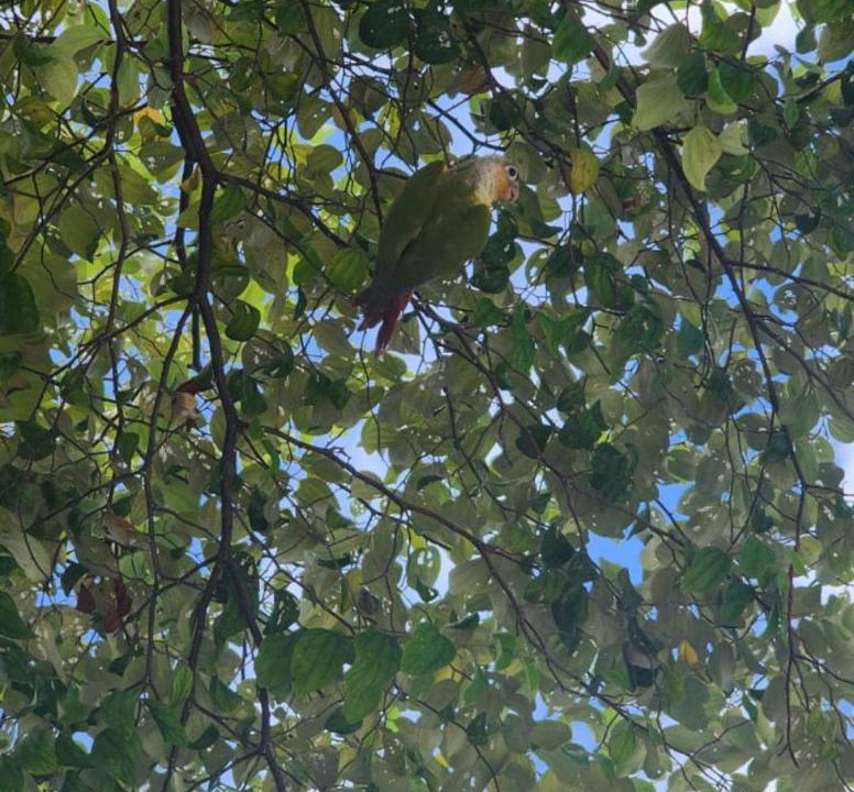 Photo of Outdoor in Huraa