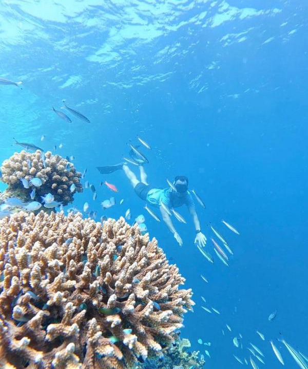 Photo of Others in Guraidhoo
