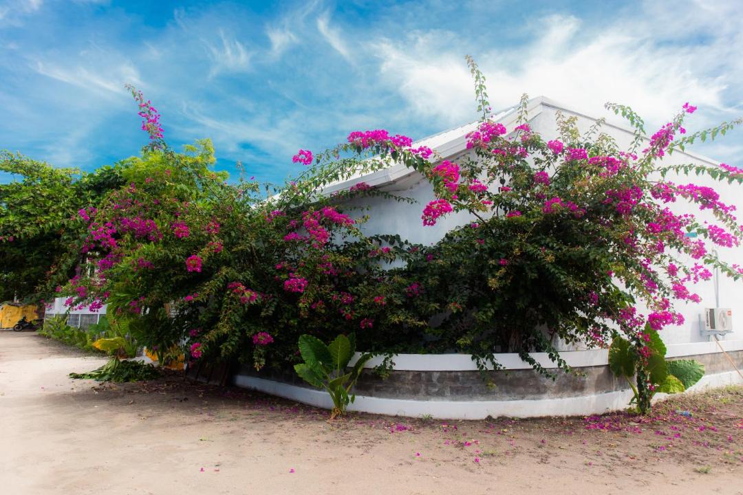 Photo of Others in Baa Atoll