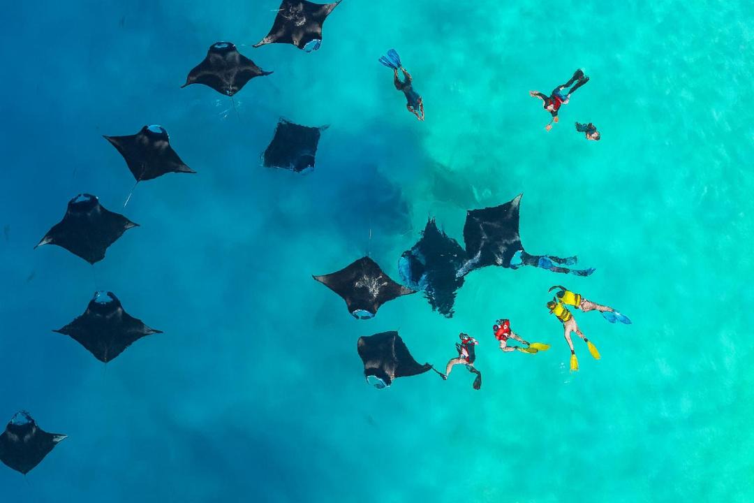 Photo of Others in Kamadhoo