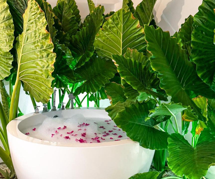 Photo of Bathroom in Thoddoo