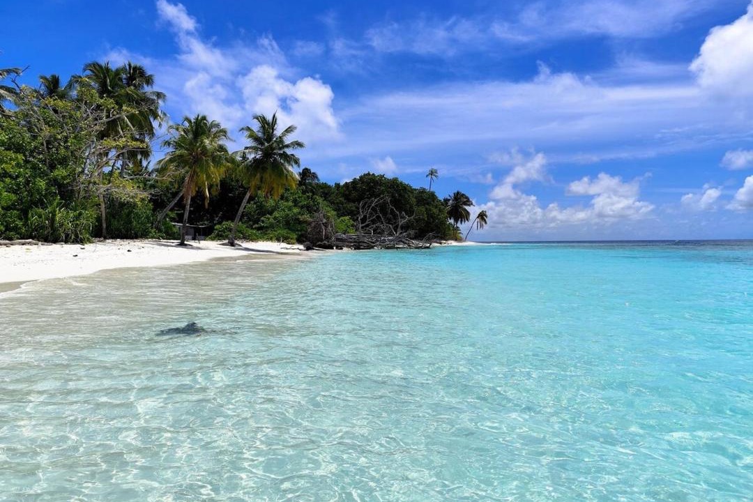 Photo of Others in Thaa Atoll