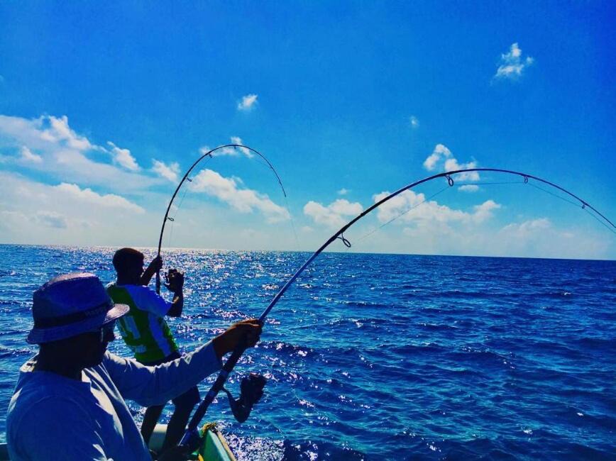 Photo of Others in Thaa Atoll
