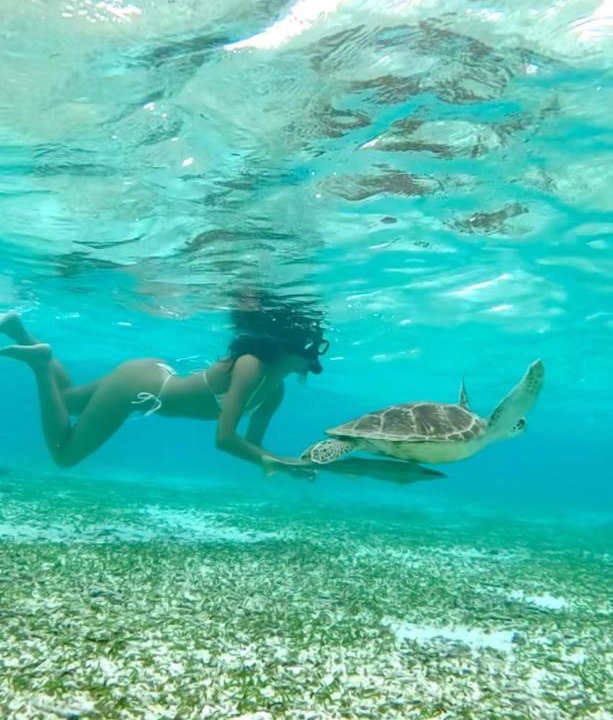 Photo of Others in Guraidhoo
