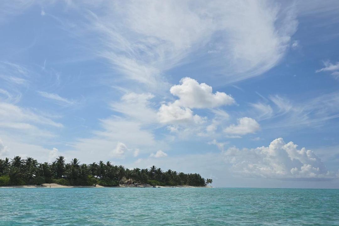 Photo of Others in Thoddoo