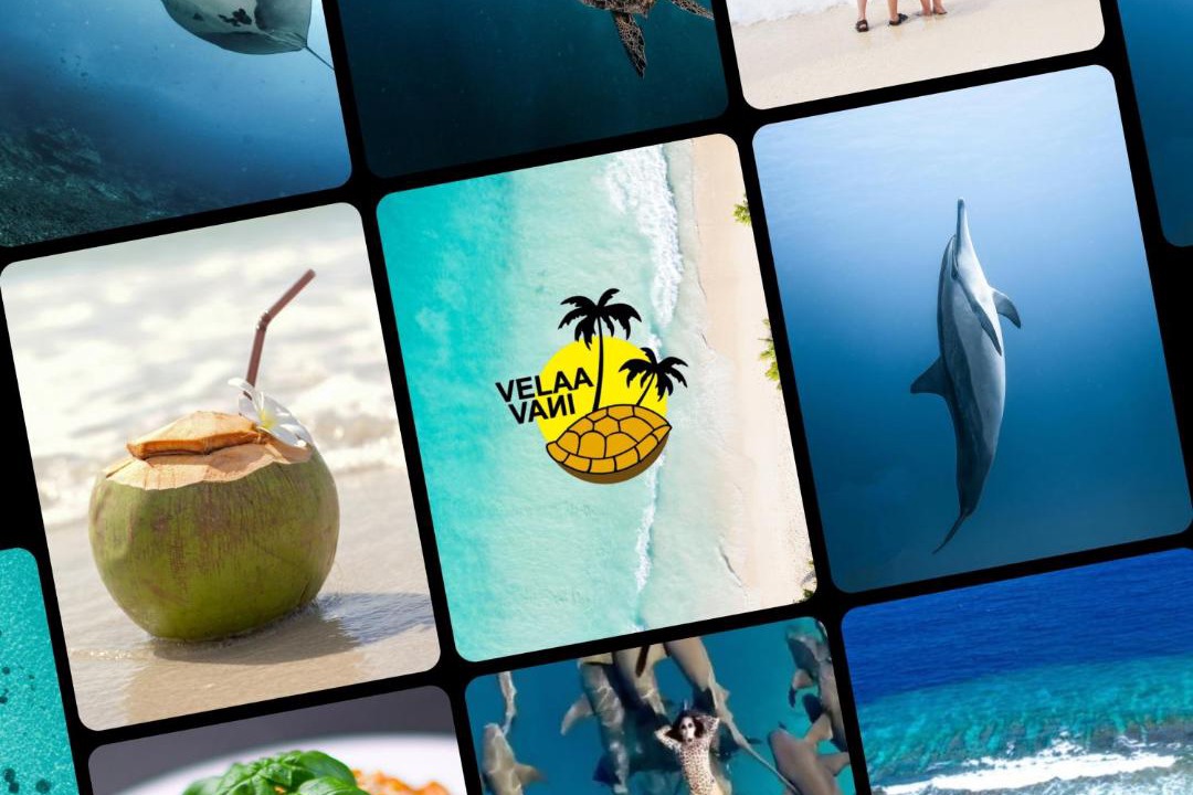 Photo of Others in Dhiffushi