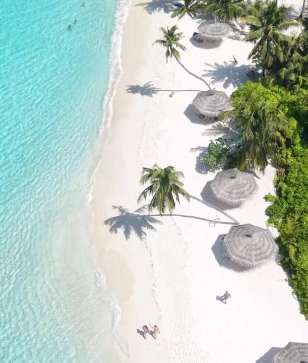 Photo of Others in Thoddoo