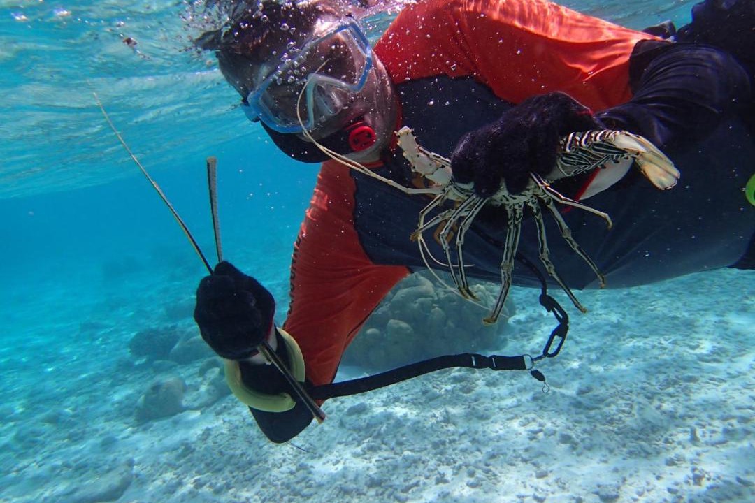 Photo of Others in Rinbudhoo