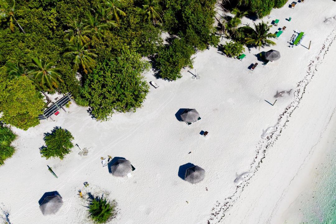 Photo of Others in Dhangethi