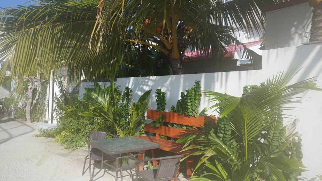 Photo of Others in Thoddoo