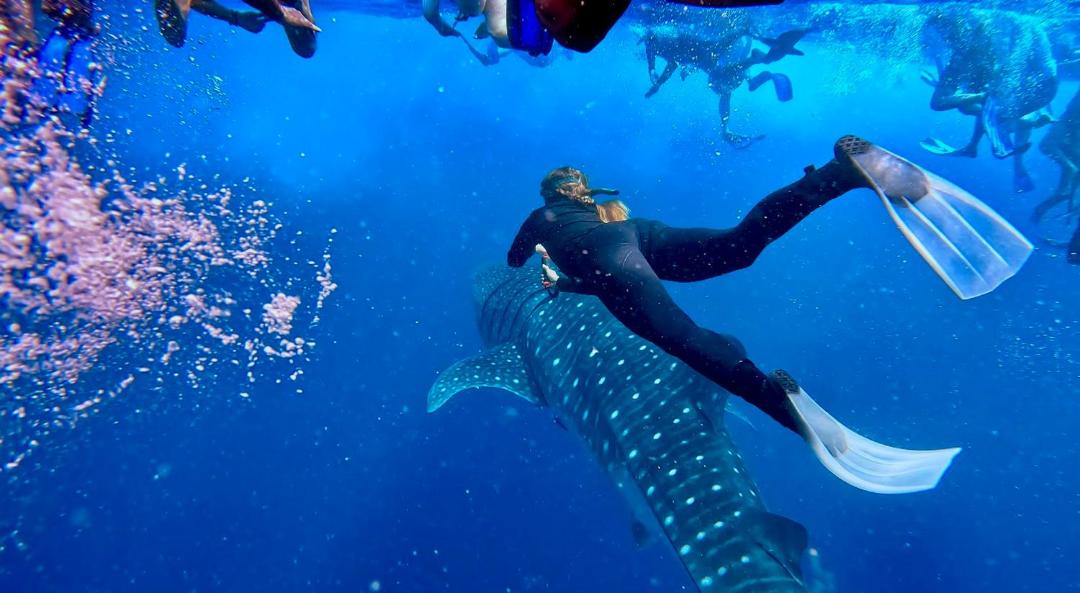 Photo of Others in Guraidhoo