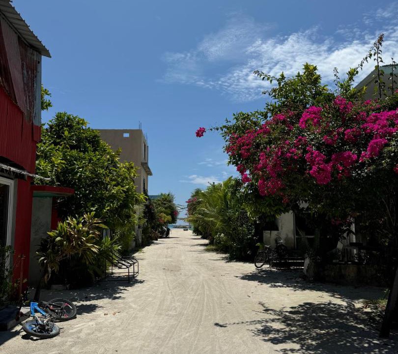 Photo of Others in Himmafushi