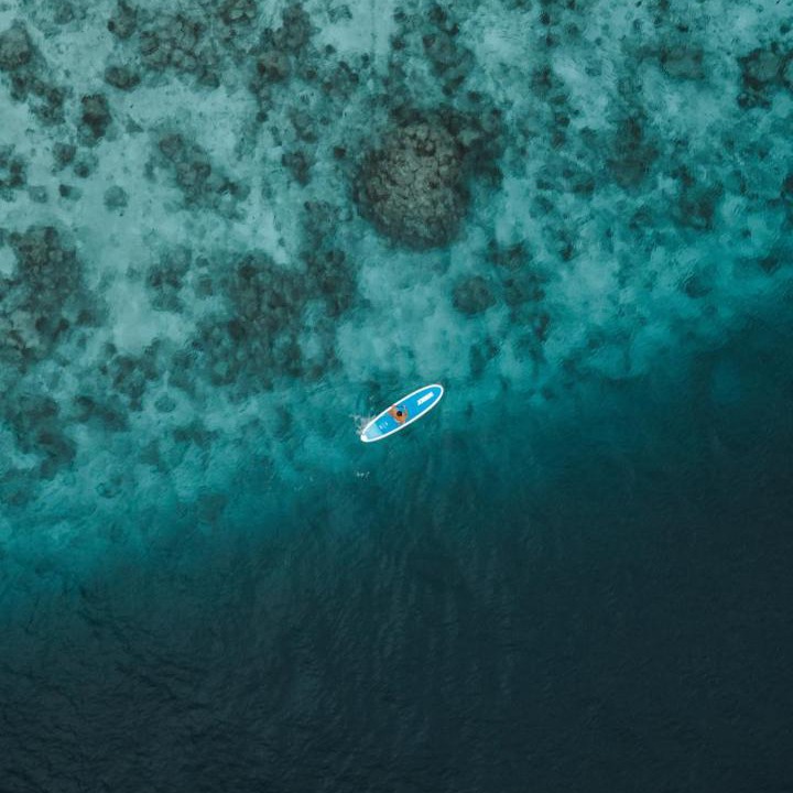 Photo of Human In Picture in Fonimagoodhoo