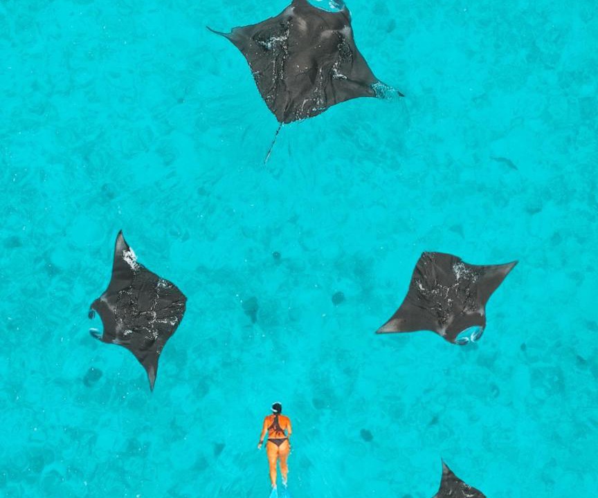 Photo of Human In Picture in Fonimagoodhoo