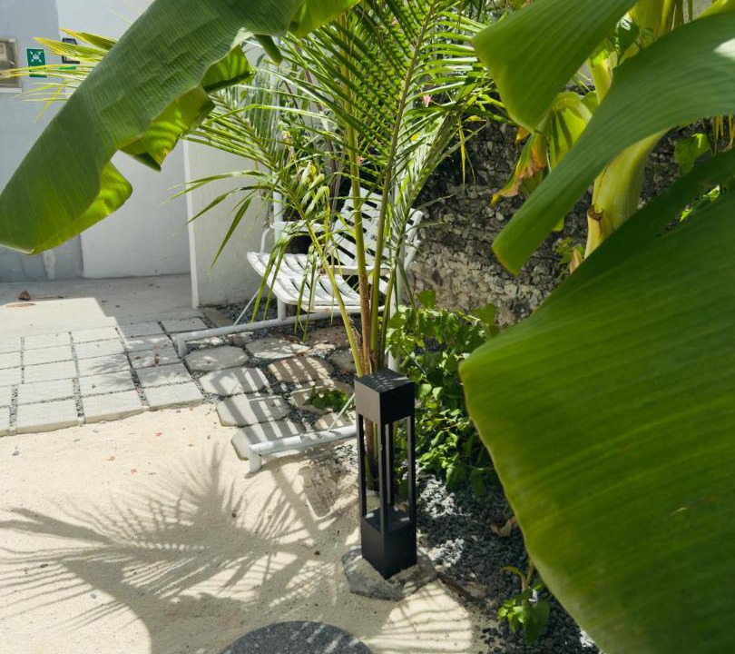 Photo of Others in Himmafushi