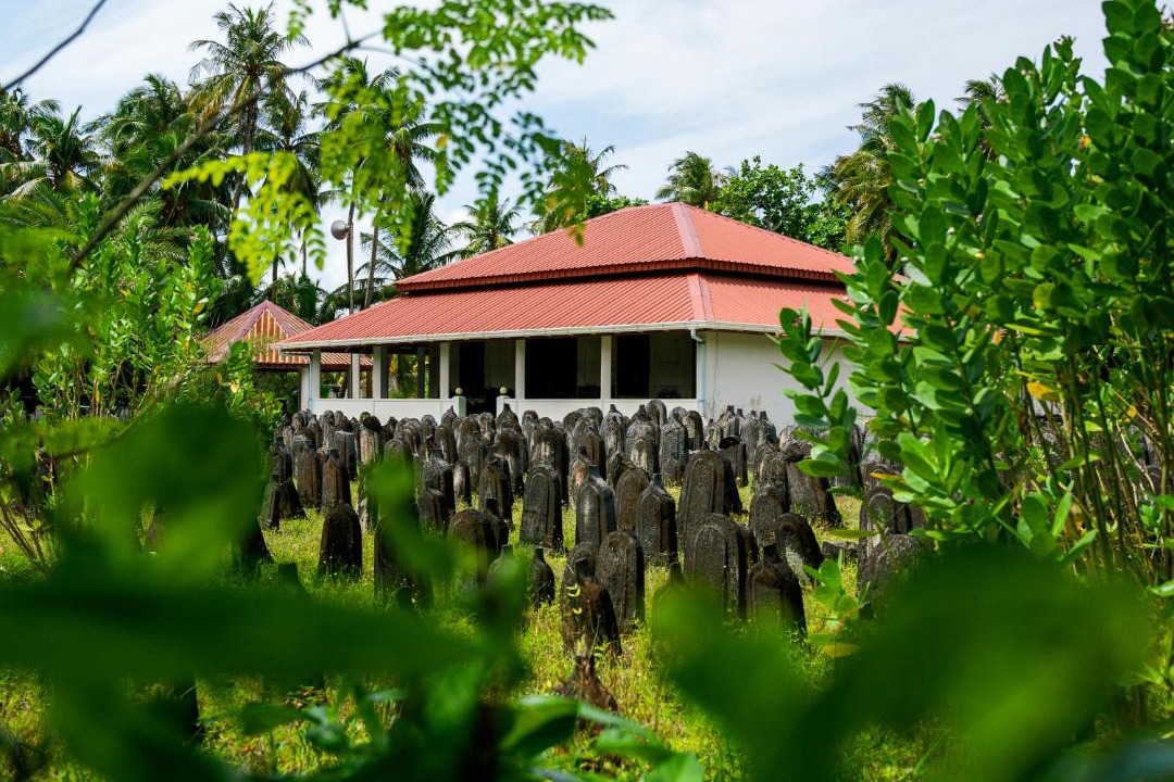 Photo of Others in Fenfushi