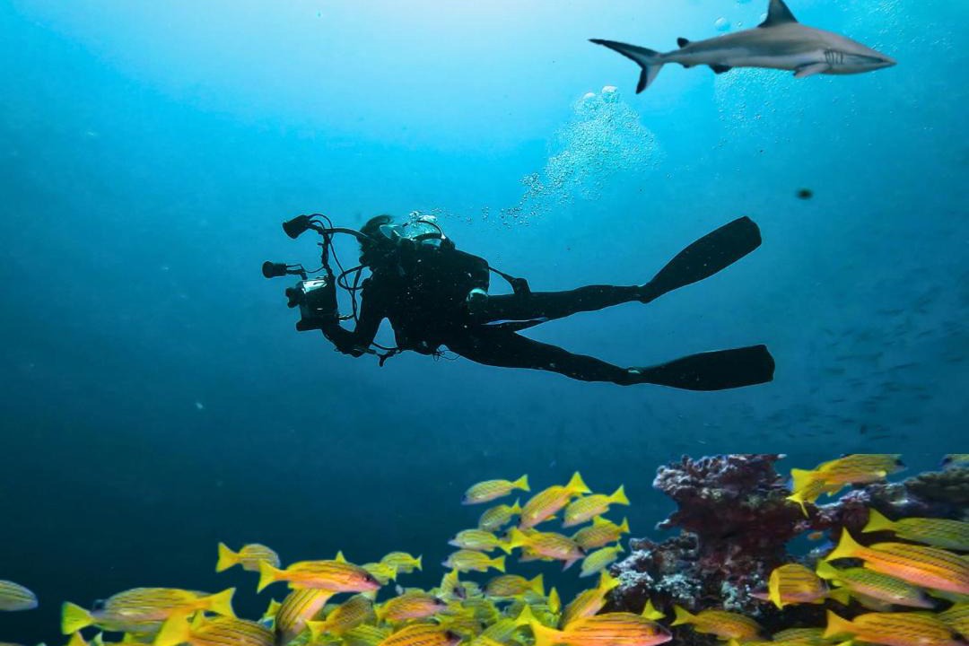 Photo of Human In Picture in Mahibadhoo
