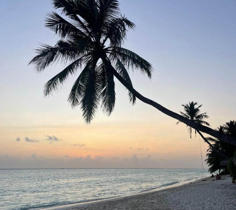 Photo of Others in Thoddoo