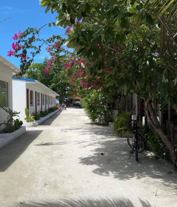 Photo of Others in Thulusdhoo Island