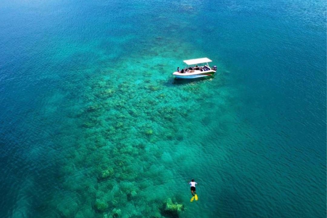 Photo of Others in Kinbidhoo