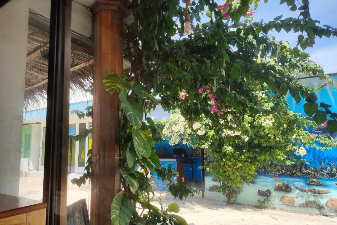 Photo of Others in Fulidhoo