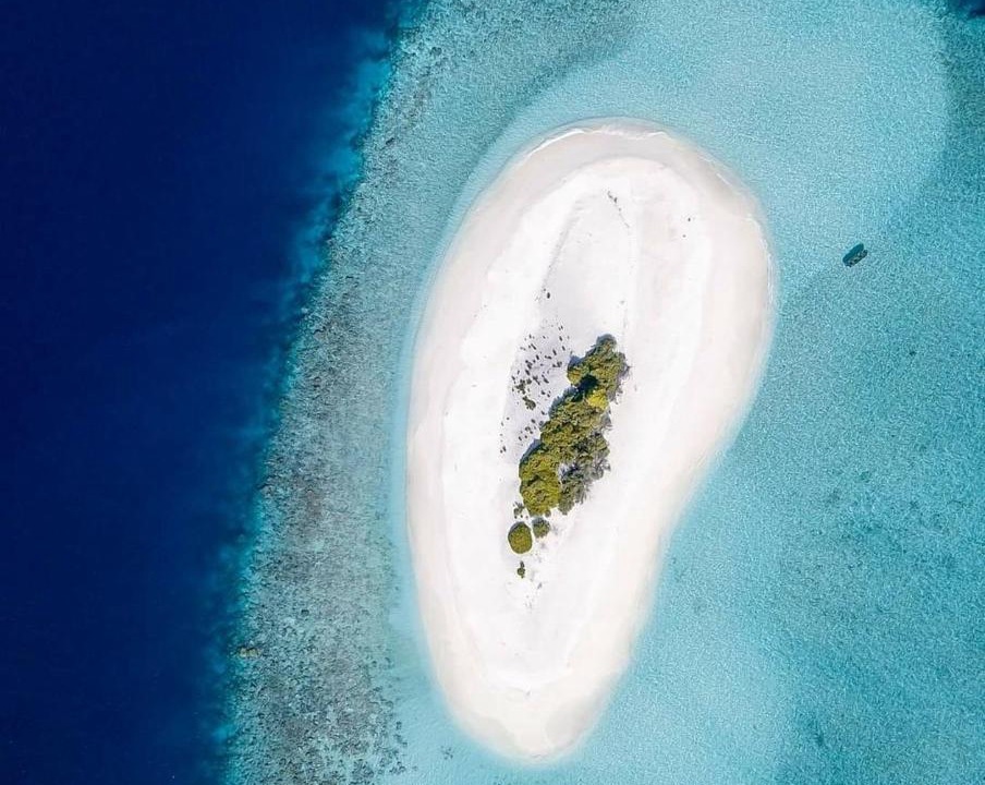 Photo of Human In Picture in Gaafu Alifu Atoll