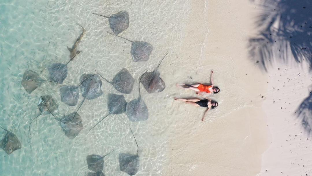 Photo of Others in Guraidhoo