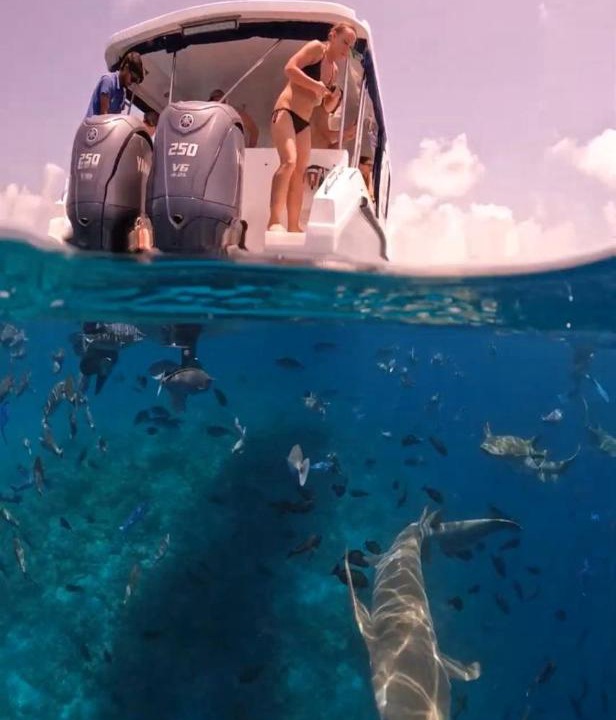 Photo of Others in Thoddoo