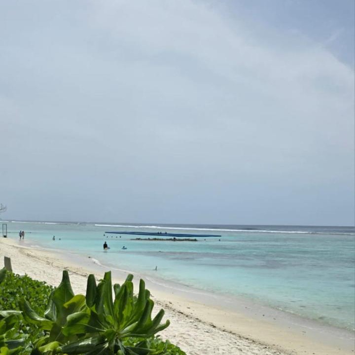 Photo of Others in Hulhumale