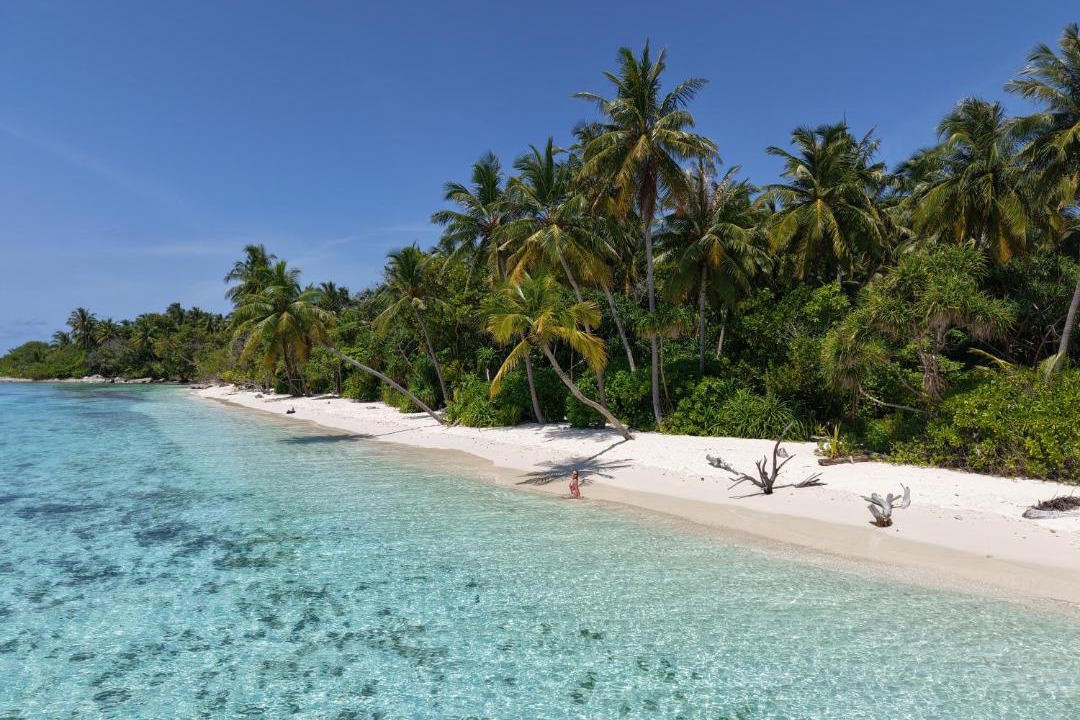 Photo of Others in Omadhoo