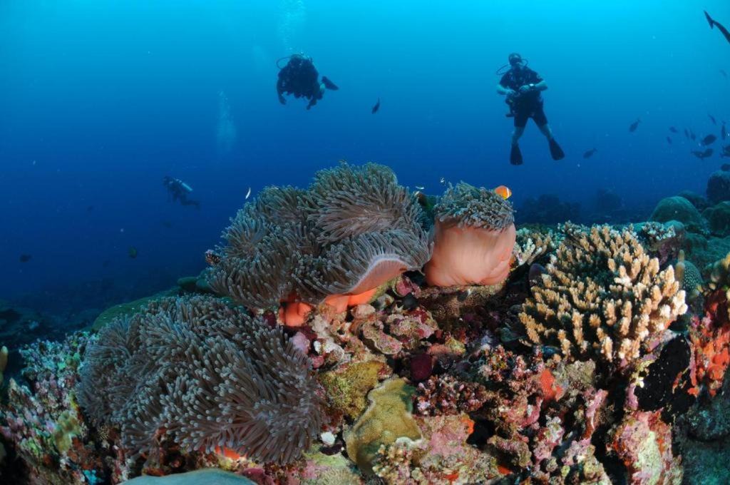 Photo of Others in Gemanafushi