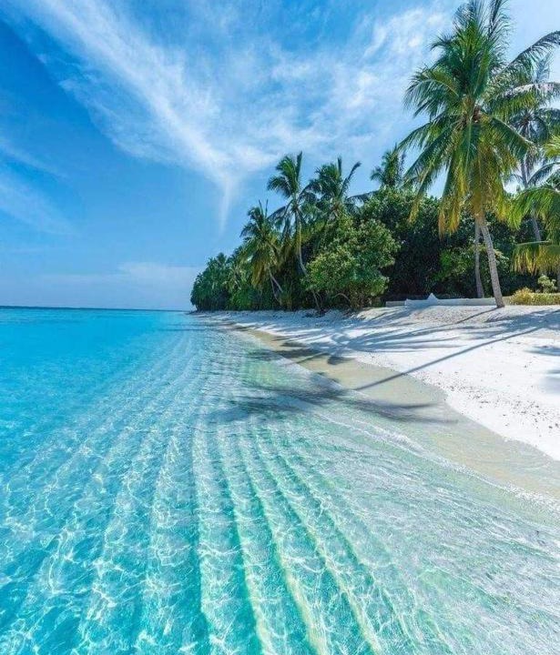 Photo of Others in Gemanafushi