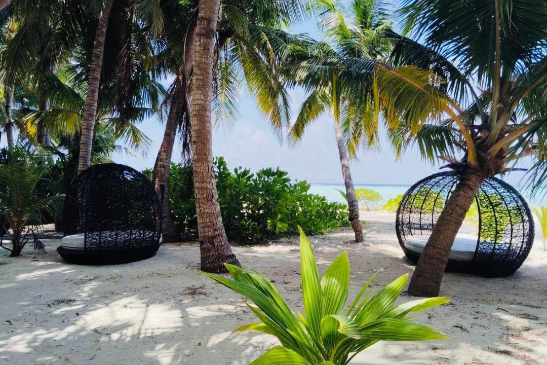 Photo of Others in Rakeedhoo