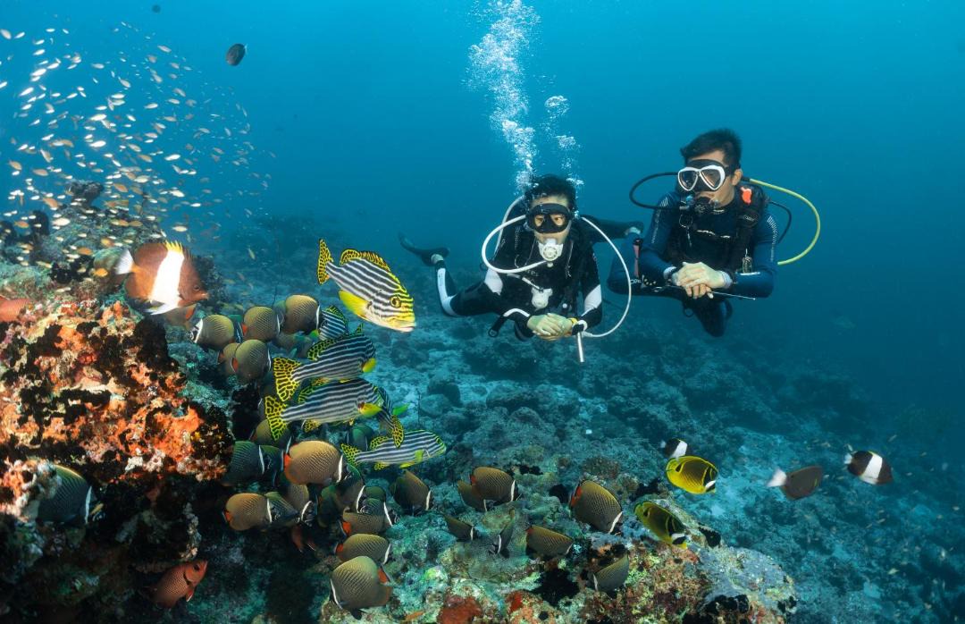 Photo of Others in Bandos Island