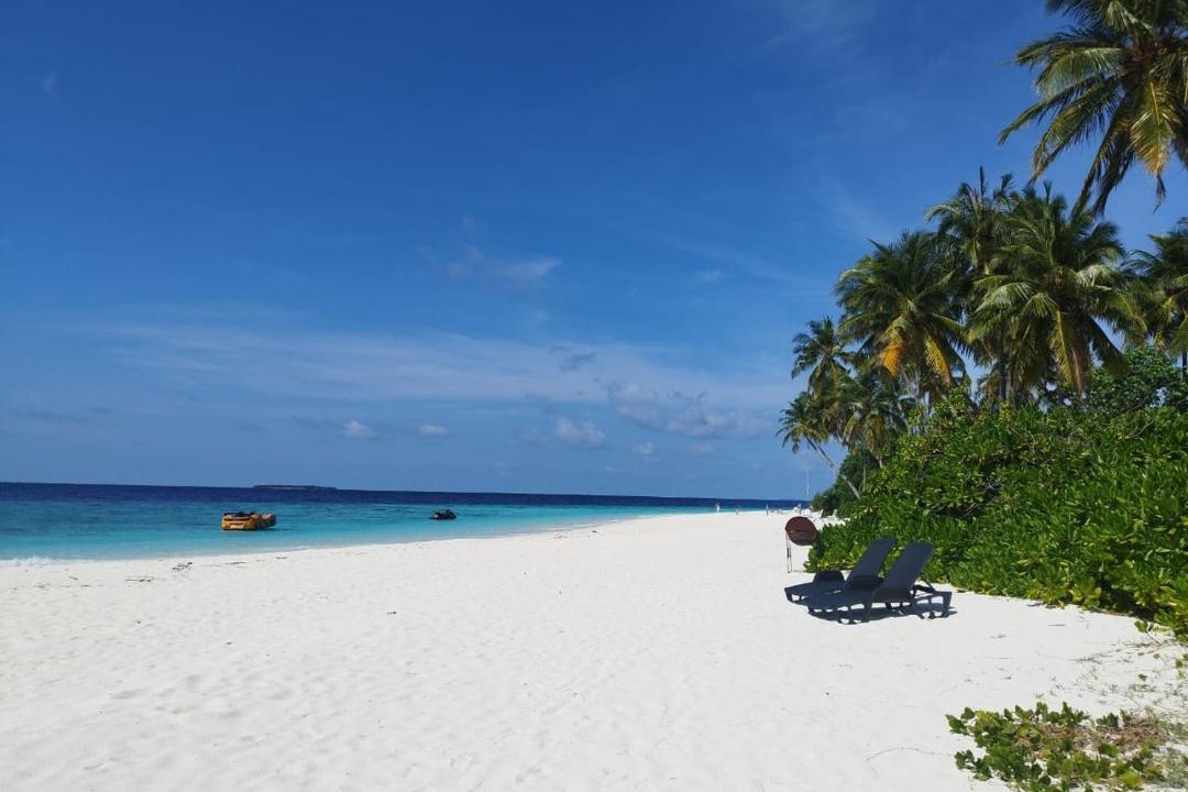 Photo of Others in Fodhdhoo