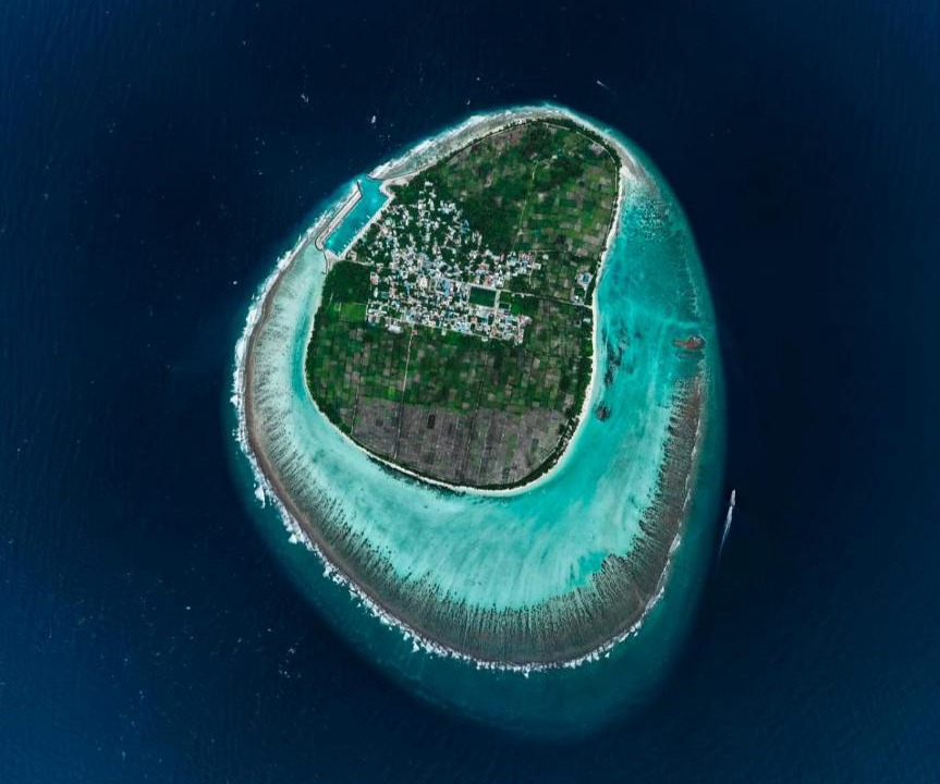 Photo of Others in Thoddoo