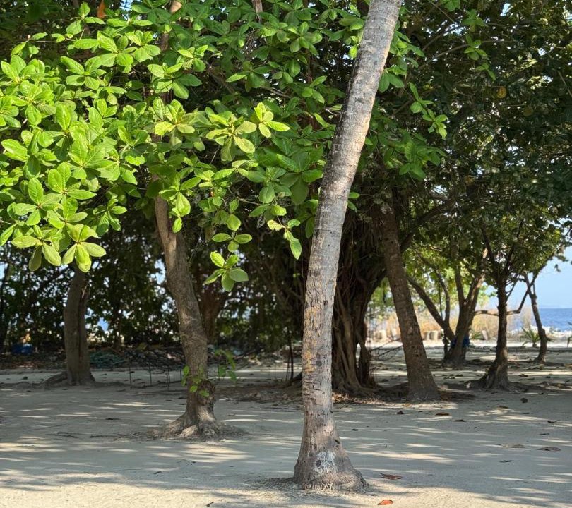 Photo of Others in Meedhoo