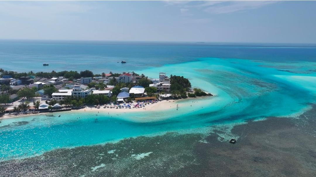 Photo of Others in Dhiffushi