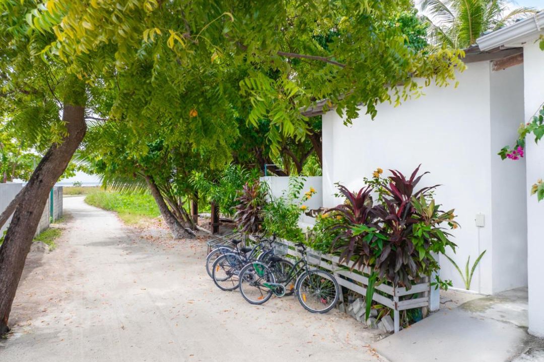 Photo of Others in Thulusdhoo Island