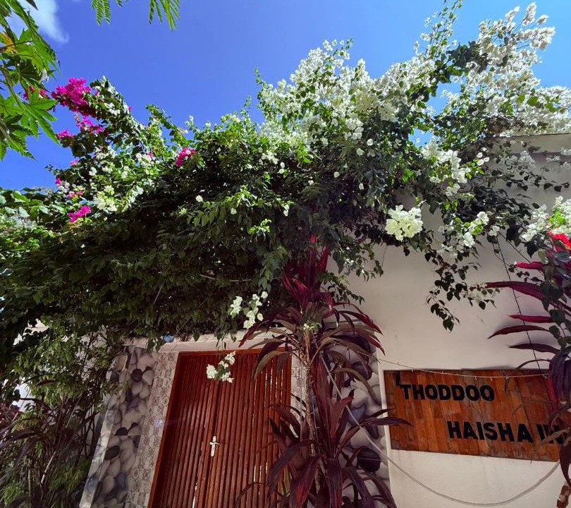 Photo of Others in Thoddoo