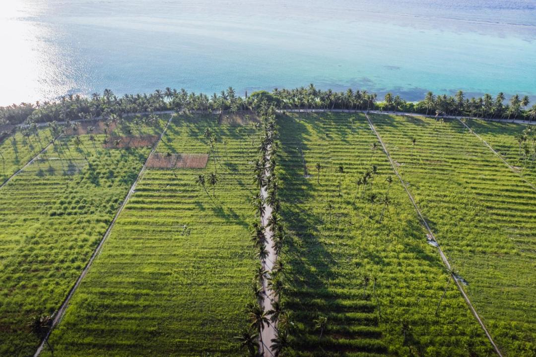Photo of Others in Thoddoo