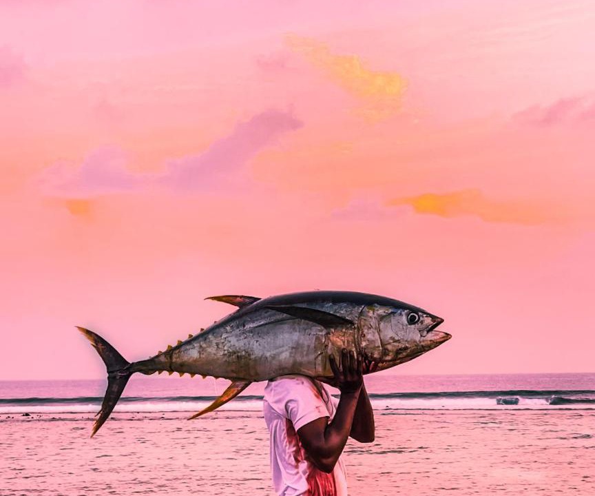 Photo of Human In Picture in Vashafaru