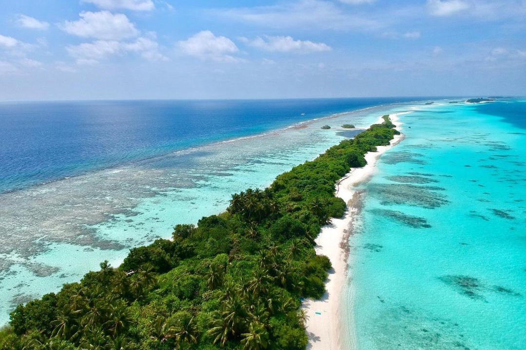 Photo of Others in Dhigurah