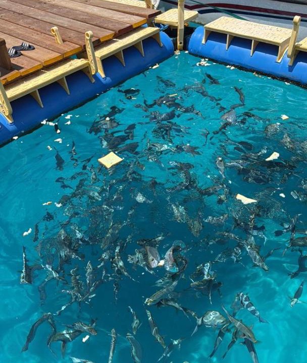 Photo of Others in Omadhoo