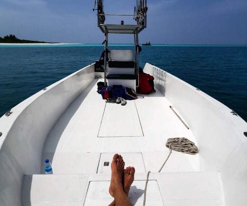 Photo of Others in Hanimaadhoo