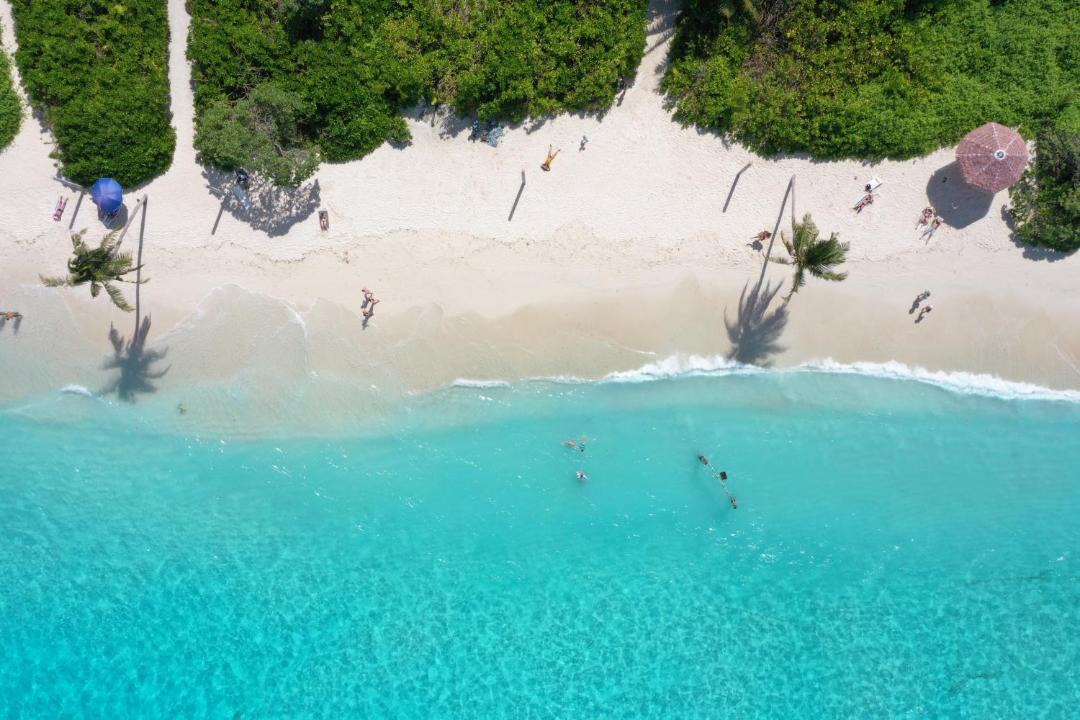 Photo of Others in Thoddoo